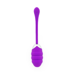 OEUF VIBRANT ANAL (2)