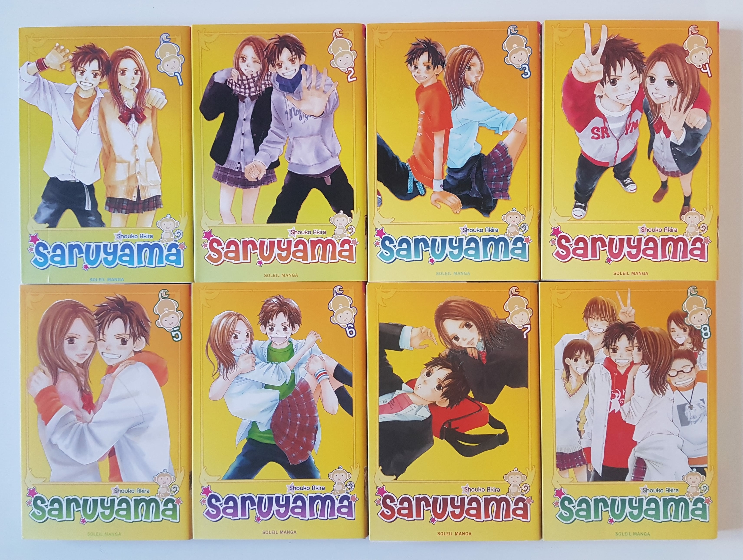 saruyama9