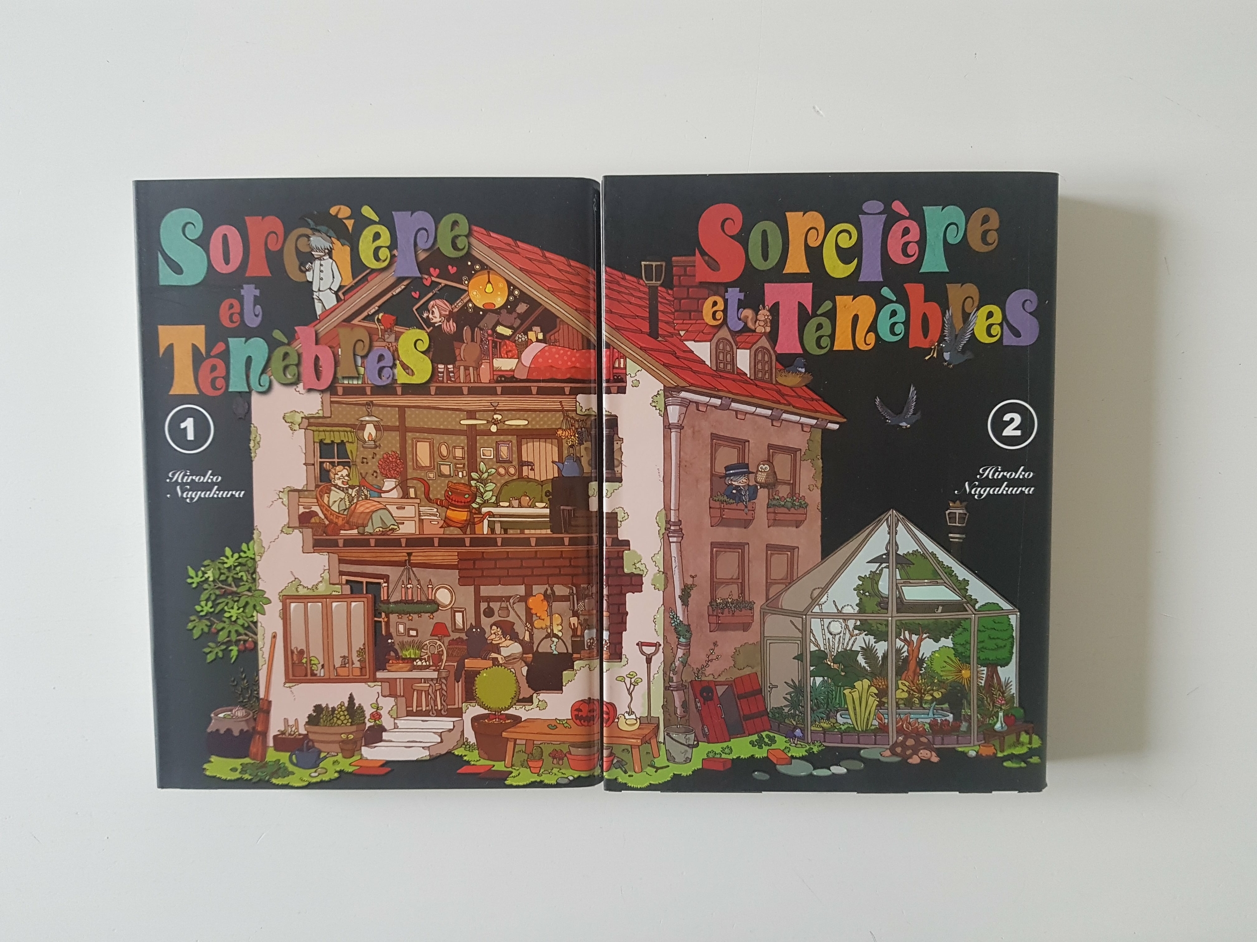 sorciereettenebres10