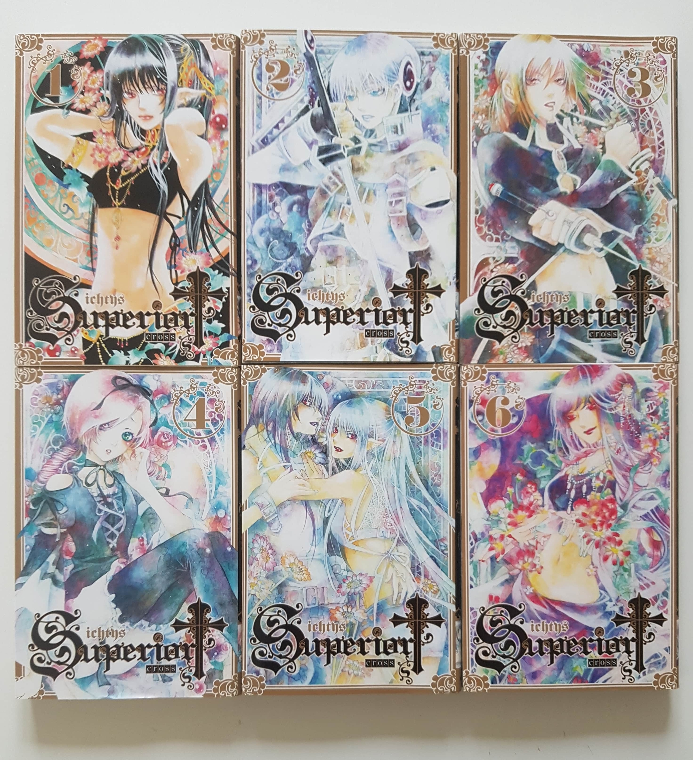 superiorcross11