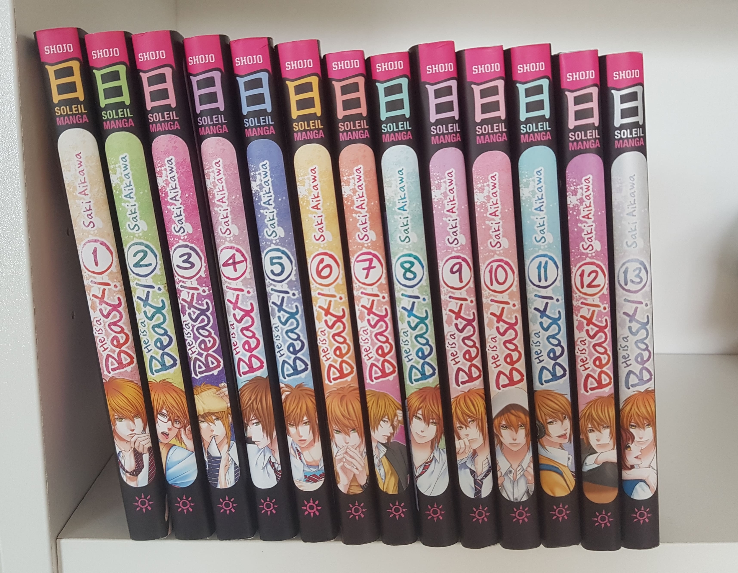 He is a beast Intégrale : Tome 1 à 13 (manga de Saki AIKAWA)