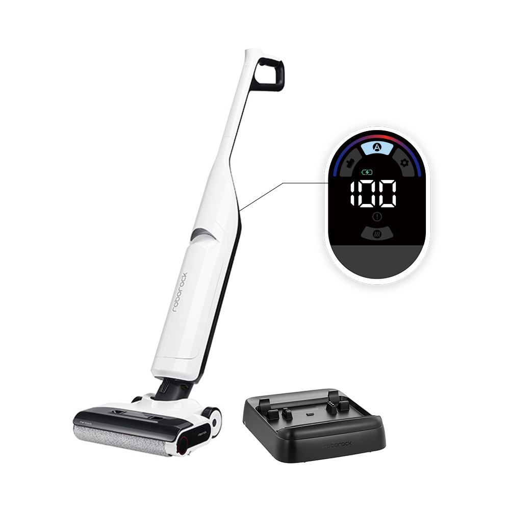 Roborock Flexi Lite