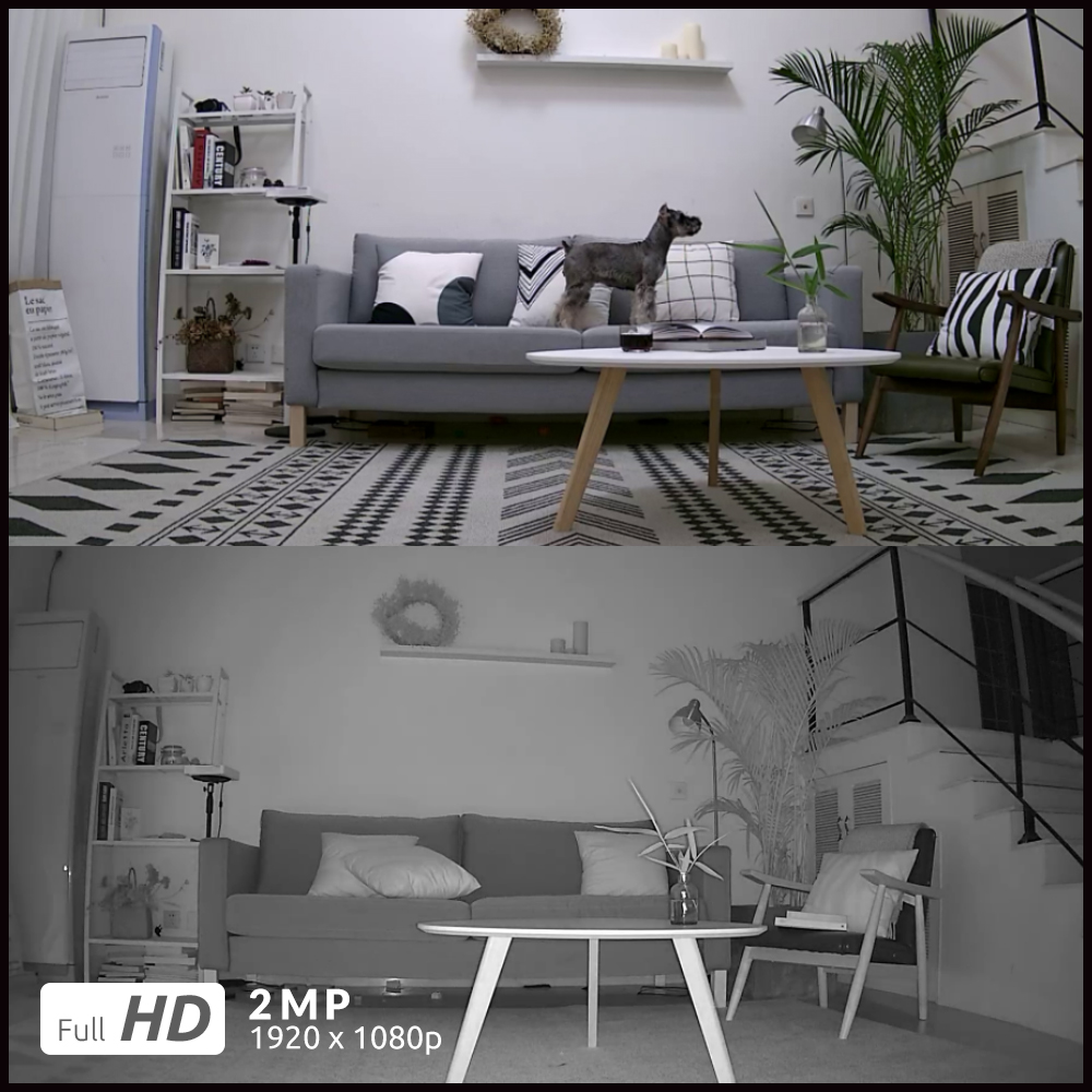 Caméra Reolink avec détection de mouvement et vision nocturne