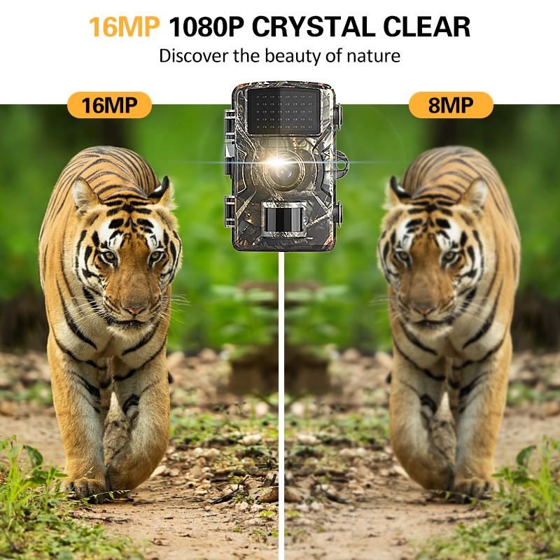 Détails de la caméra de chasse étanche IP66