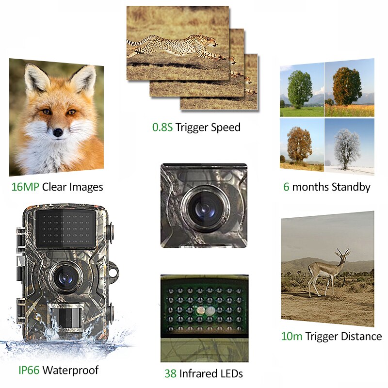 Caméra de suivi animalier avec vidéo Full HD 1080p
