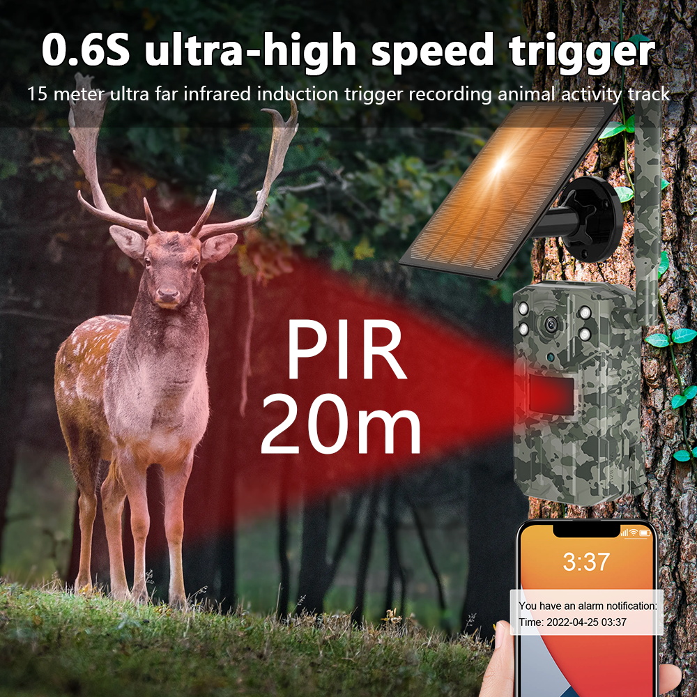 Caméra de chasse solaire étanche IP66 pour observation de la faune