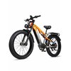 Vélo électrique RANDRIDE YX80