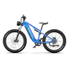DUOTTS E26 Vélo Électrique de Montagne