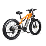 RANDRIDE YX80