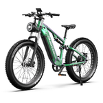 DUOTTS E26 Vélo Électrique de Montagne