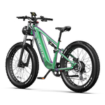 DUOTTS E26 Vélo Électrique de Montagne
