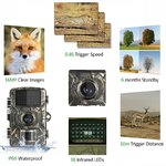 Caméra de suivi animalier avec vidéo Full HD 1080p