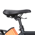 Vélo électrique ENGWE P275 Pro