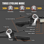 Vélo Électrique DUOTTS C29 PRO