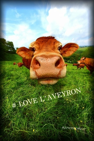 aveyron love