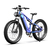 DUOTTS E26 Vélo Électrique de Montagne