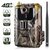 Caméra de chasse Suntek HC-900LTE 4G avec antenne
