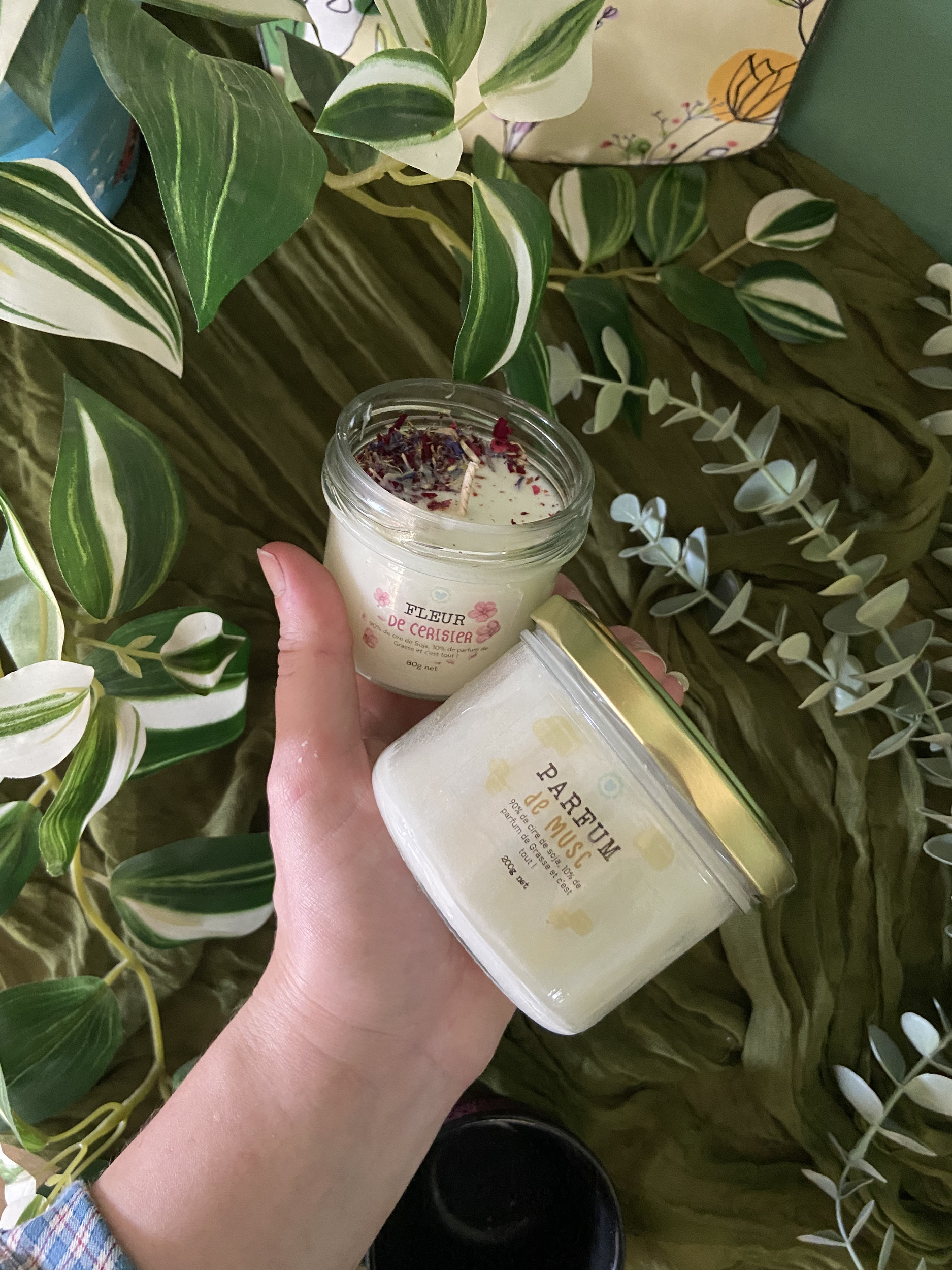 TOUS LES PARFUMS