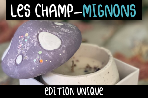 les bougies champ mignon