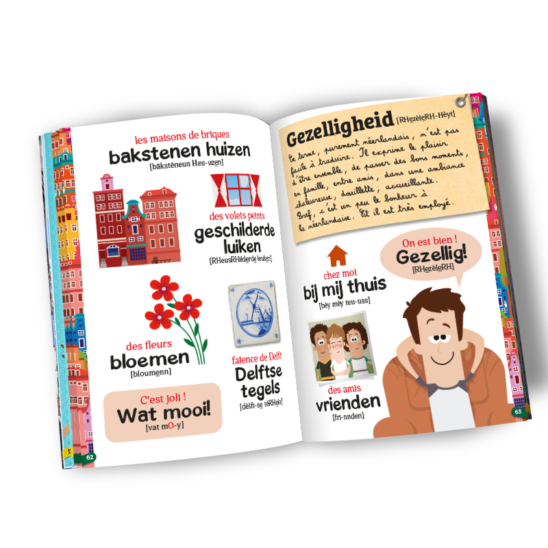 neerlandais-guide-de-conversation-gezelligheid-maisons-de-briques-faience-delft