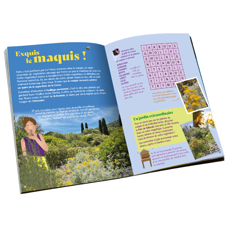 Corse-plantes-herbes-maquis-visiter-en-famille