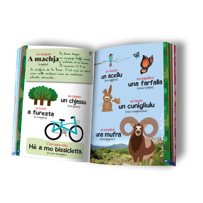 Corse-guide-de-conversation-2