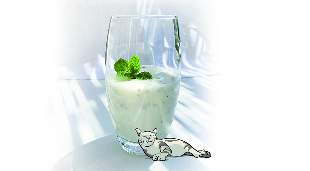 verre ayrin yaourt
