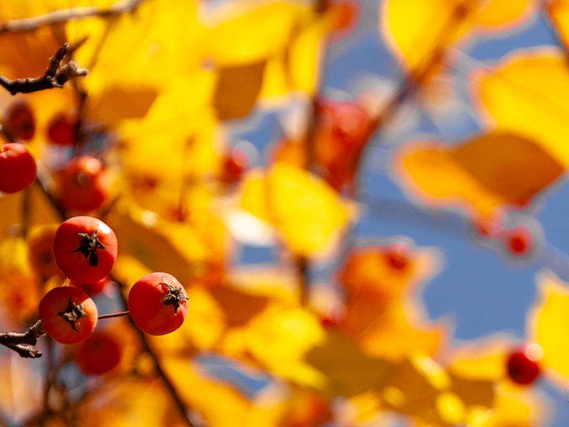 octobre