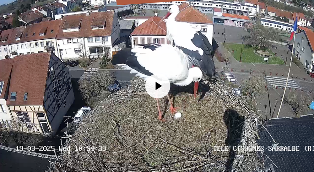 capture d ecran 2025 03 19 a 10 56 07