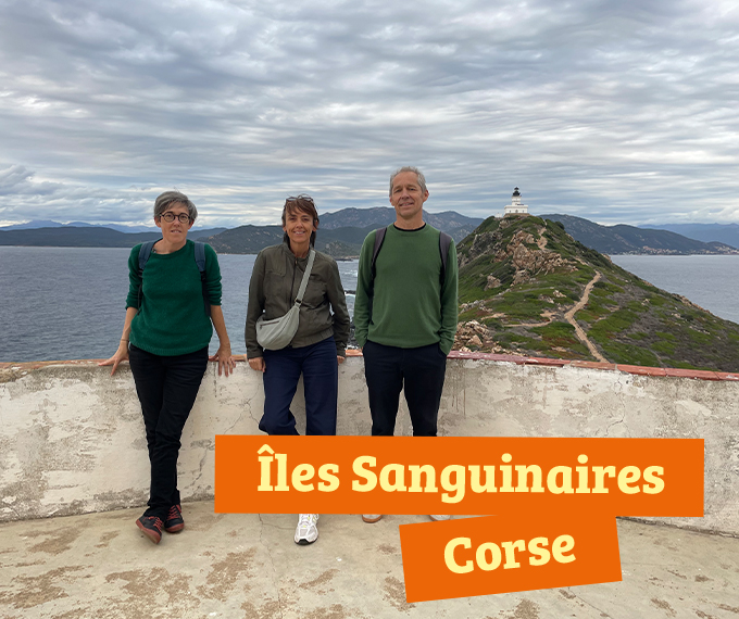 corse iles sanguinaires