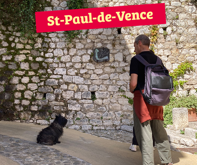 st paul de vence chien