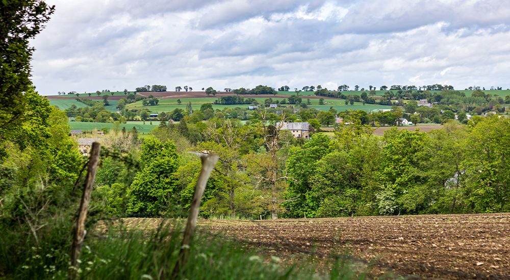 bocage vendeen