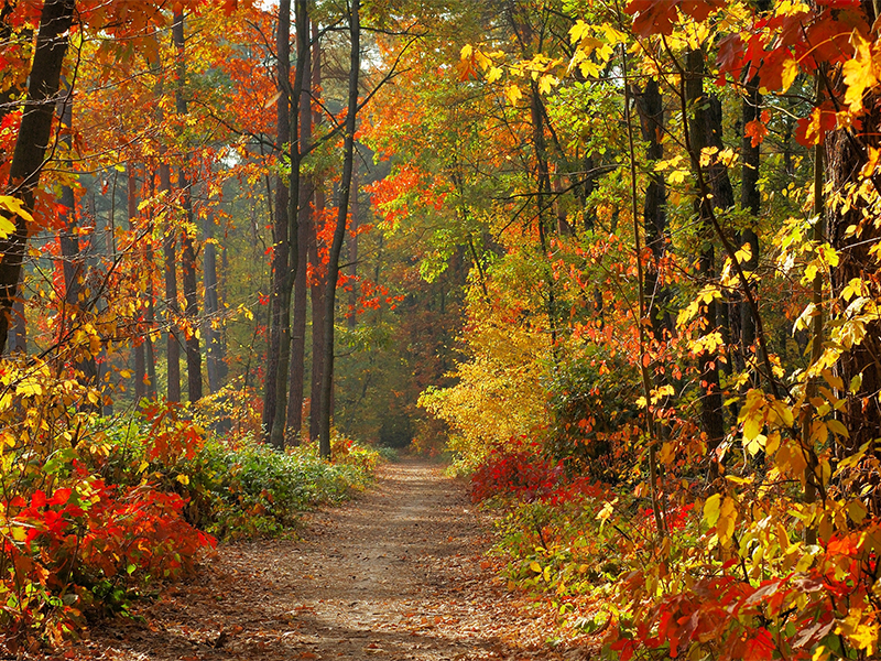 octobre