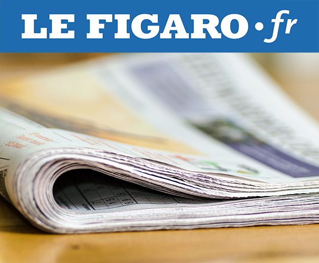 lefigaro fr 650x535