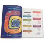 Histoire-de-l-art-expliquee-aux-enfants-frise-chronologique-courants-artistiques