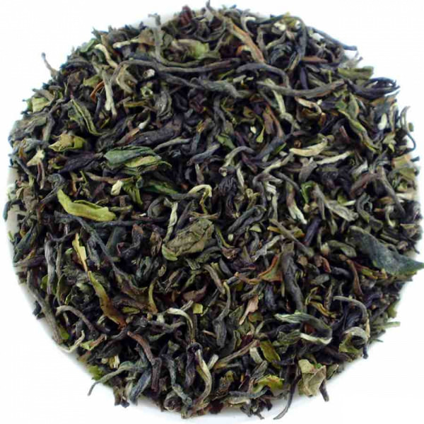 Darjeeling Rohini FF