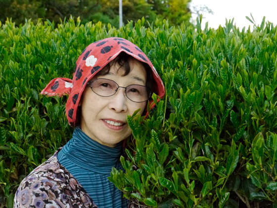 Madame Haruyo Morimoto dans Jardin de Thé Japonais Bio