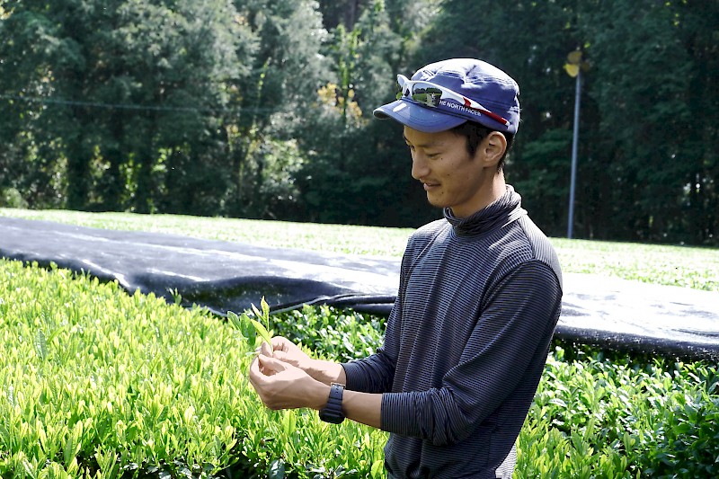 Shutaro Hayashi in his Kirishima tea garden Kagoshima Kyushu Japon