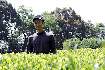 Shutaro Hayashi Jardin de thé de Kirishima Kagoshima Kyushu Japon