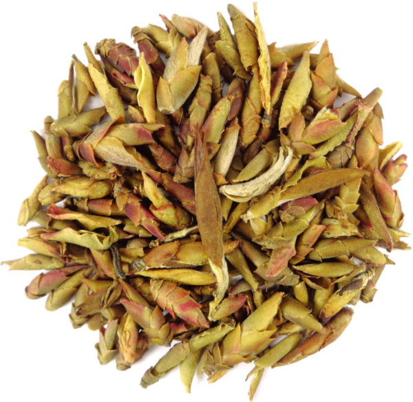 Thé Blanc Sauvage Grande Origine Vietnam avec Bourgeons Ecailles de Dragon Artisanal Petit Producteur Menh