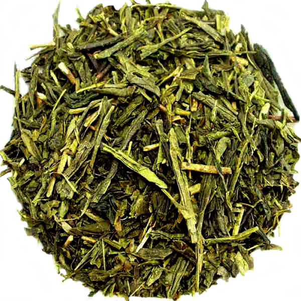 The Vert Sencha Zhejiang Agriculture Biologique Vapeur Chine