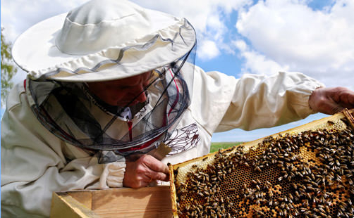 Tous nos produits à base de gelée royale