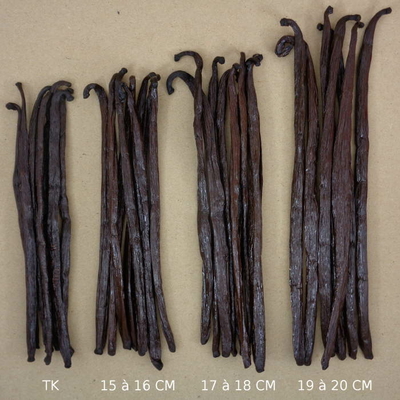 Gousses de Vanille Bourbon Noire de Madagascar 17 à 18 cm