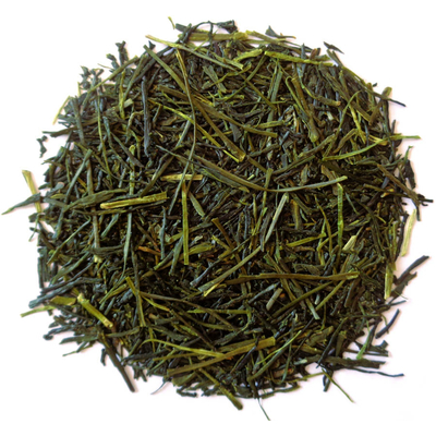 The vert Japonais Biologique Sencha Tokujou Morimoto Petit Producteur Kyushu Kagoshima