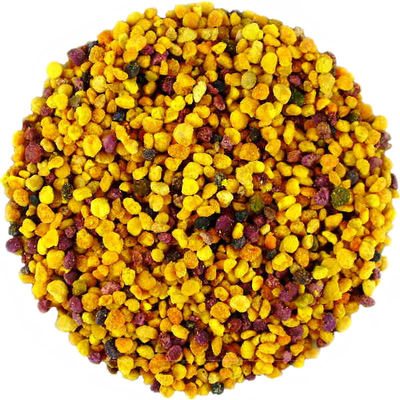 Pelotes de Pollen Agriculture Biologique Bouleau Saule Peuplier Hetre Espagne