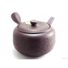 1263988511theiere_aubergine_500ml_2