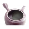 1263988511theiere_aubergine_500ml_3