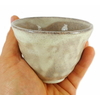 Tasse Pour Thé Japonais Céramique Emaillée