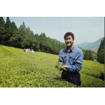 Producteur Thé Vert Japonais Bio Matsumoto