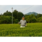 Producteur Thé Vert Japon Kukicha Mie Hayashi